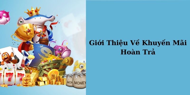 Giới thiệu khuyến mãi hoàn trả nhà cái BONG789 - mmofury.io